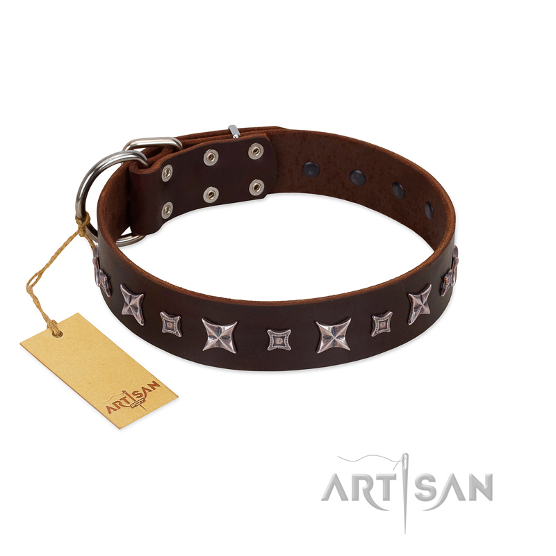 "Stellar Fairy " FDT Artisan Brown Leather Doberman Collar with Chrome-plated Star-like Decorations