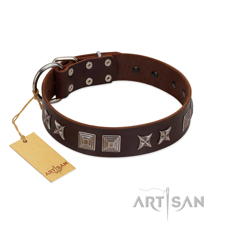 "Needle Stories" Modern FDT Artisan Brown Leather Doberman Collar with Square Engraved Plates and Four-Point Stars