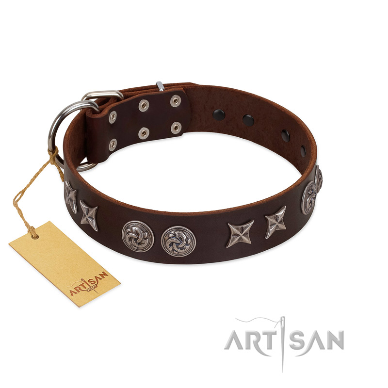 "Silver Sunset" Designer Handmade FDT Artisan Brown Leather Doberman Collar