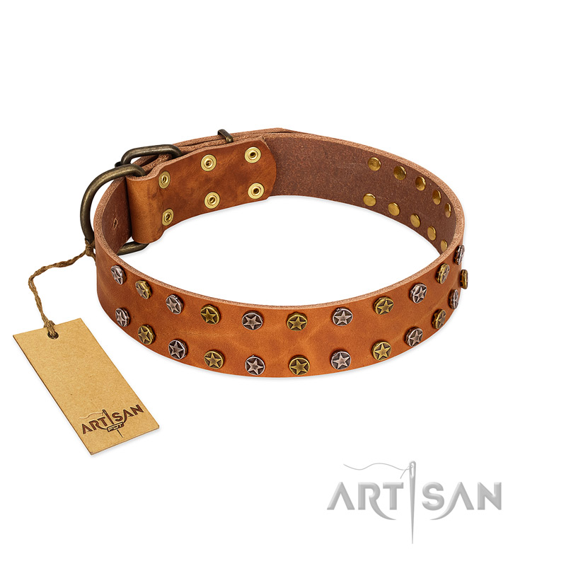 "Walk and Shine" FDT Artisan Tan Leather Doberman Collar with Antiqued Studs