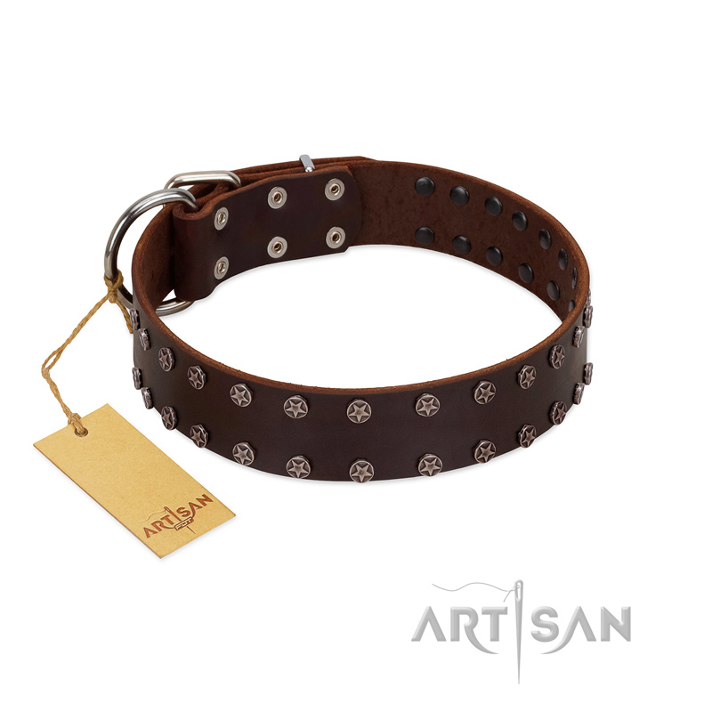 "Star Party" Handmade FDT Artisan Brown Leather Doberman Collar with Silver-Like Studs