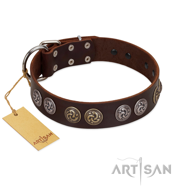 "Treasure Hunter" FDT Artisan Brown Leather Doberman Collar with Old-Bronze-like and Silvery Medallions
