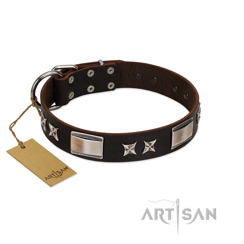 "Satin Beauts" FDT Artisan Brown Leather Doberman Collar with Stars and Plates