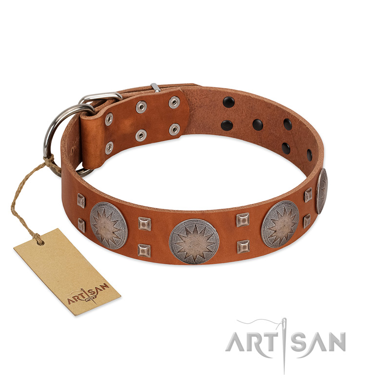 "Sun Rise Noon" FDT Artisan Tan Leather Doberman Collar with Unique Design