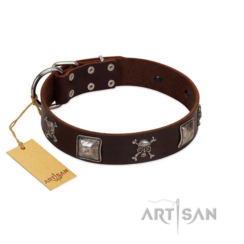 "Nut-Brown Finery" Embellished FDT Artisan Brown Leather Doberman Collar with Chrome Plated Crossbones and Plates