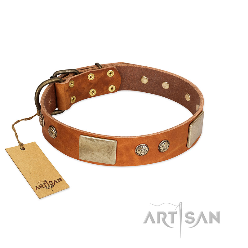 "Ancient Treasures" FDT Artisan Tan Leather Doberman Collar with Antiqued Plates and Studs