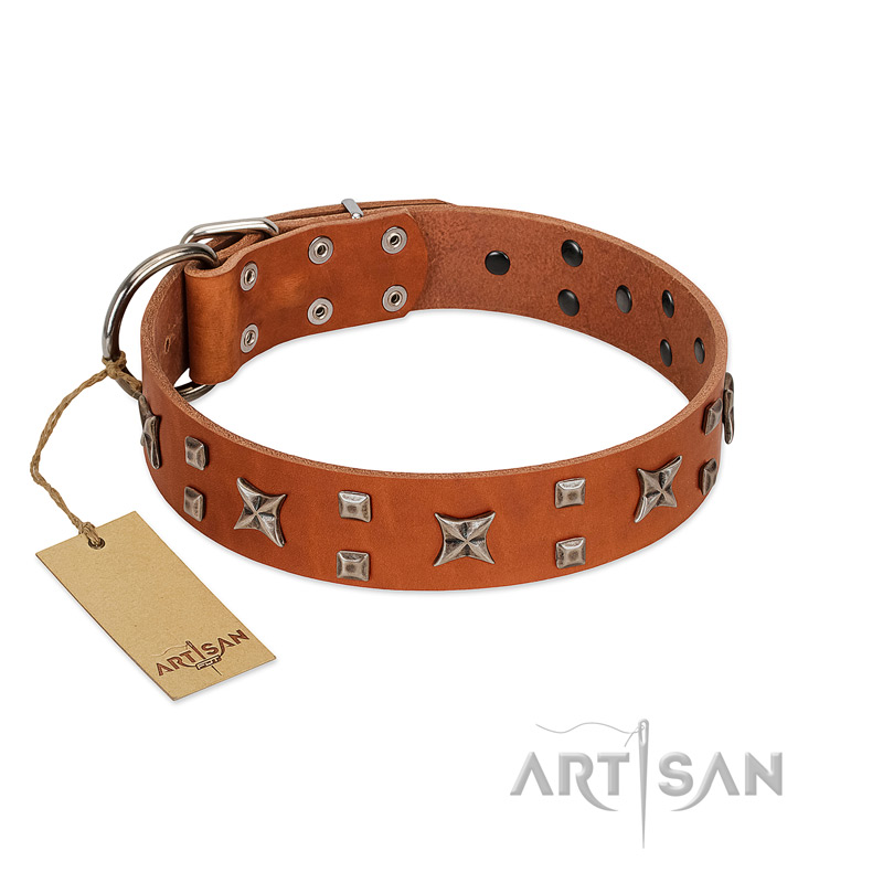 "Faraway Galaxy" FDT Artisan Tan Leather Doberman Collar Adorned with Stars and Squares