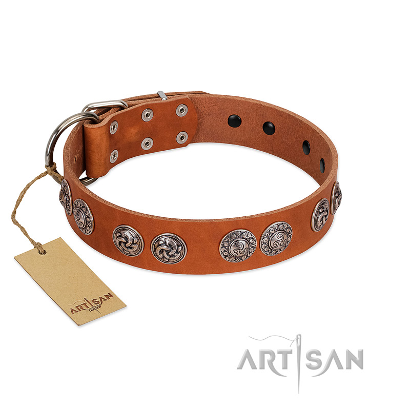 "Woofy Majesty" FDT Artisan Tan Leather Doberman Collar with Round Silver-like Plates