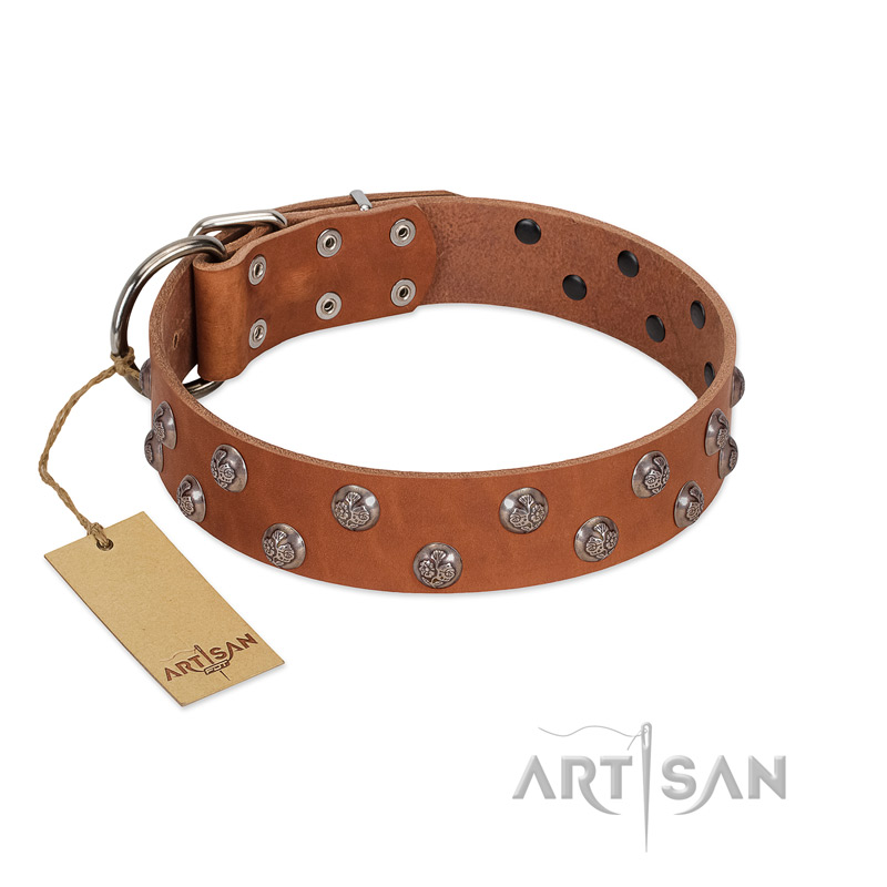 "Waltz of the Flowers" Handmade FDT Artisan Tan Leather Doberman Collar with Chrome-plated Engraved Studs