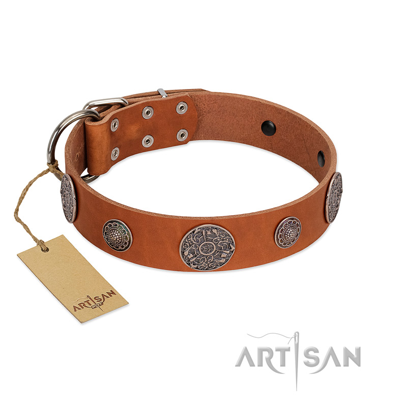 "Foxy Nature" FDT Artisan Tan Leather Doberman Collar with Chrome Plated Brooches