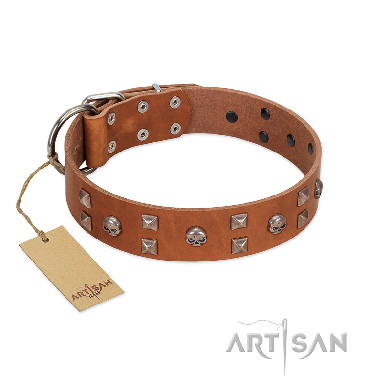 "Enchanted Skulls" FDT Artisan Tan Leather Doberman Collar with Chrome Plated Skulls