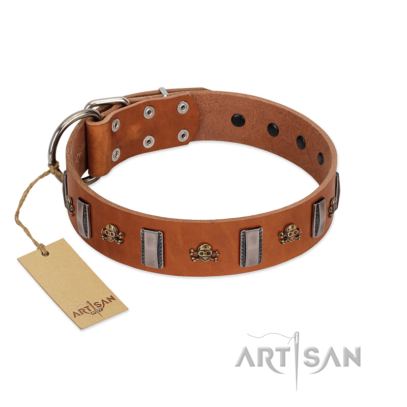 "Golden Crossbones" Handmade FDT Artisan Tan Leather Doberman Collar with Plates and Skulls