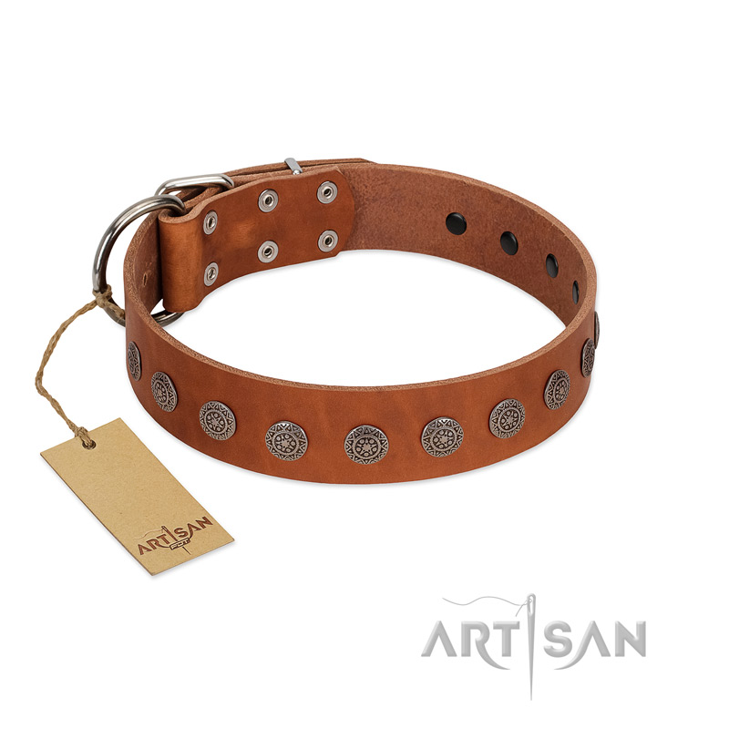 "Lucky Star" Handmade FDT Artisan Designer Tan Leather Doberman Collar with Round Plates