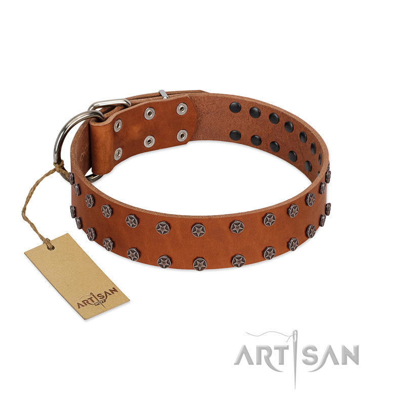 "Star Light" Stylish FDT Artisan Tan Leather Doberman Collar with Silver-Like Studs