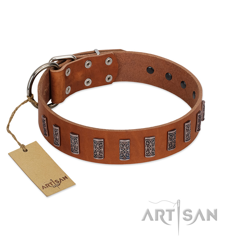 "Silver Century" Fashionable FDT Artisan Tan Leather Doberman Collar with Silver-Like Plates