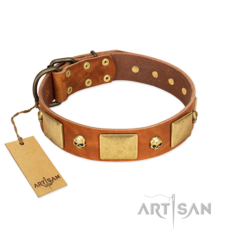 "Mutt The Daredevil" FDT Artisan Tan Leather Doberman Collar with Old Bronze-like Skulls and Plates