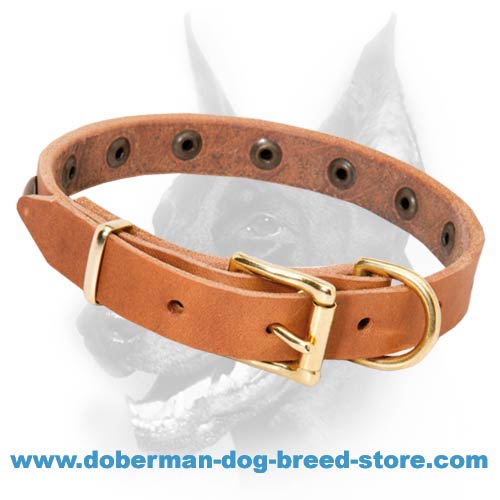 Simply Beautiful Leather Dog Collar with Brass Round Studs