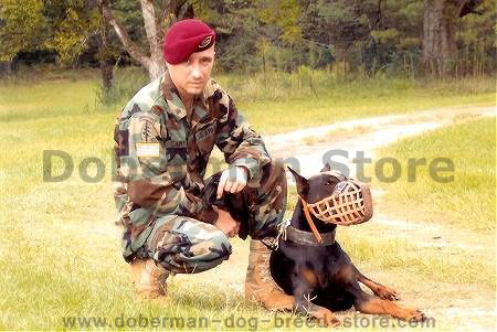 Basket Leather Dog Muzzle for Doberman dog