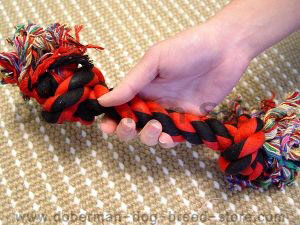 2-Knot Fiber Bone to Keep Teeth Clean And Tartar Free!