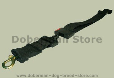 Dog Hands-free Leash for Dobermans - Click Image to Close