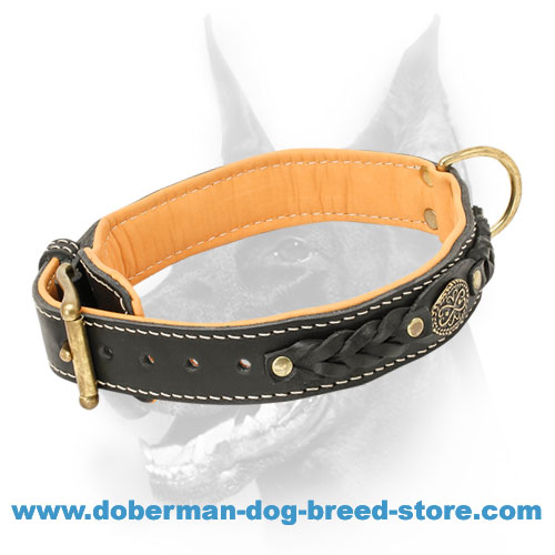 Royal Doberman Collar Padded with Soft Nappa Leather