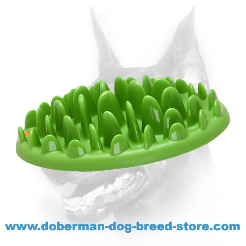 Big Interactive Slow Pet Feeder Platic Eating Plate For Doberman
