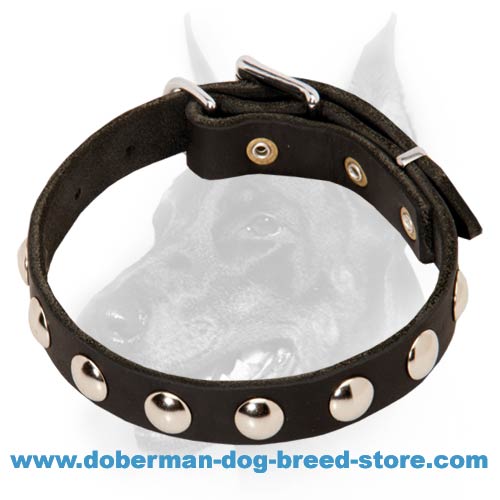 Elegant Leather Dog Collar with Round Nickel-Plated Studs