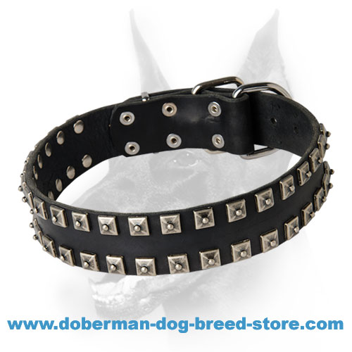 Exclusive Stud Decorated Leather Dog Collar