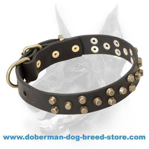Extraordinary Leather Doberman Collar Decorated with Brass Cones