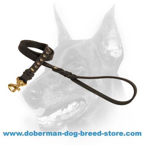 Universal leather leash for large dogs