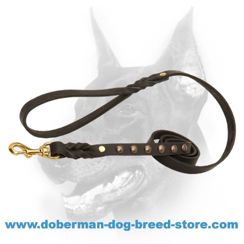 Unique leather dog lead