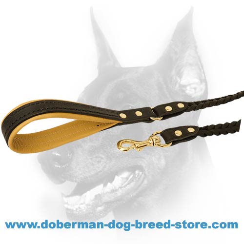 Best leather leash with handle and snap hook