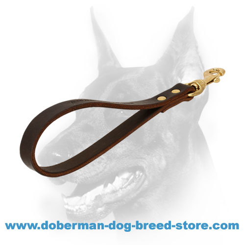 Short brown leather dog lead stitched for durability