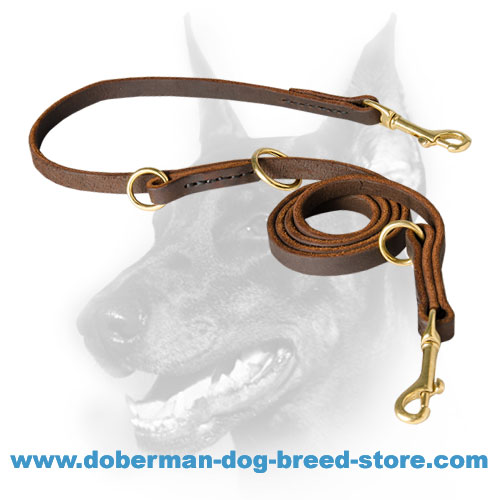 Walking Training Doberman Leash Adjustable with 3 O-Rings