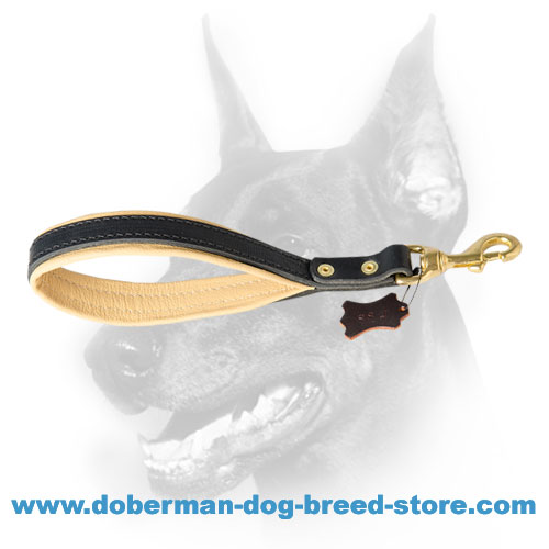 Durable shoert canine leash with comfortable soft handle