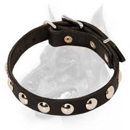 Elegant Leather Dog Collar with Round Nickel-Plated Studs