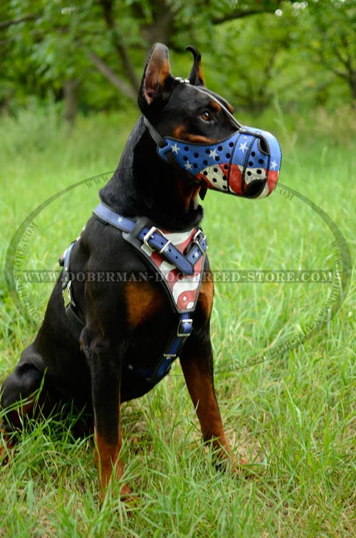 Custom Made Doberman Muzzle