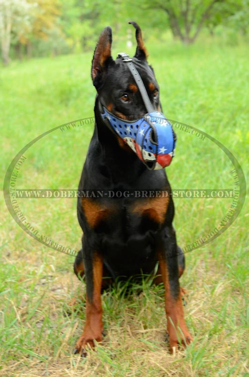 Easy-To-Use Dog Muzzle