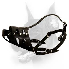 Well-fitting leather everyday dog muzzle