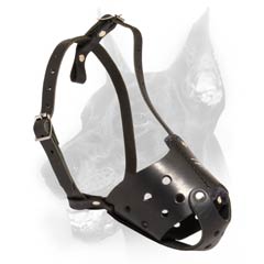 Leathern well-fitting dog muzzle