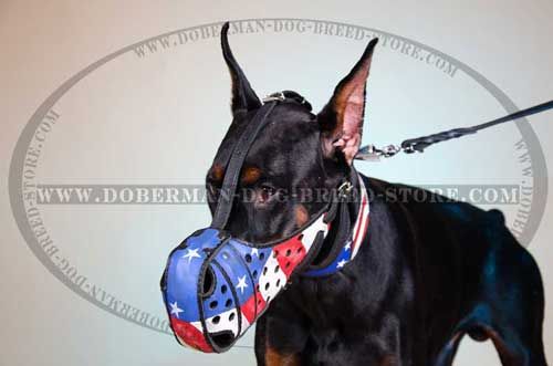 Hand Painted Leather Doberman Muzzle