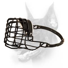 Fine winter wire muzzle for Doberman