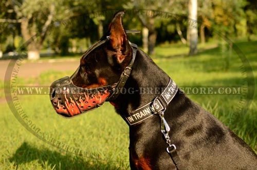 Multipurpose Doberman Dog Muzzle