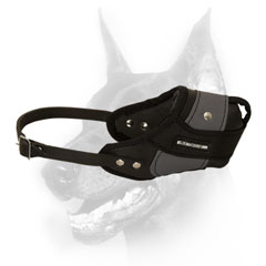 Leather nylon dog muzzle for Doberman attack work