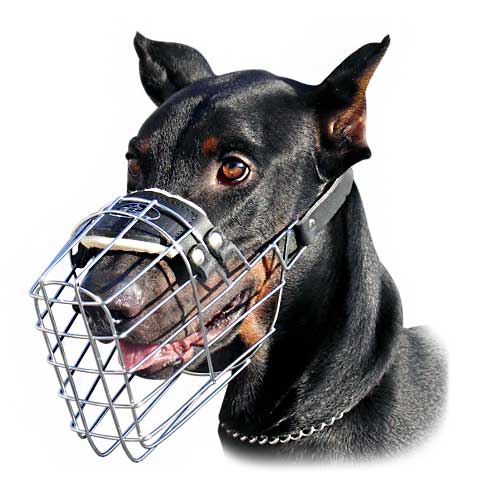 Dog Muzzle To Stop Eating Dog Muzzle To Stop Eating