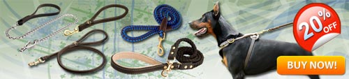 Distinguished Doberman Leashes