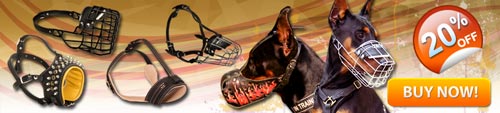 Super Comfortable Doberman Muzzles