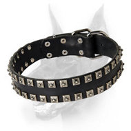 Exclusive Stud Decorated Leather Dog Collar