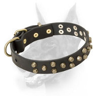Extraordinary Leather Doberman Collar Decorated with Brass Cones