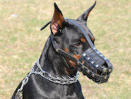 leather dog muzzle for doberman pinscher